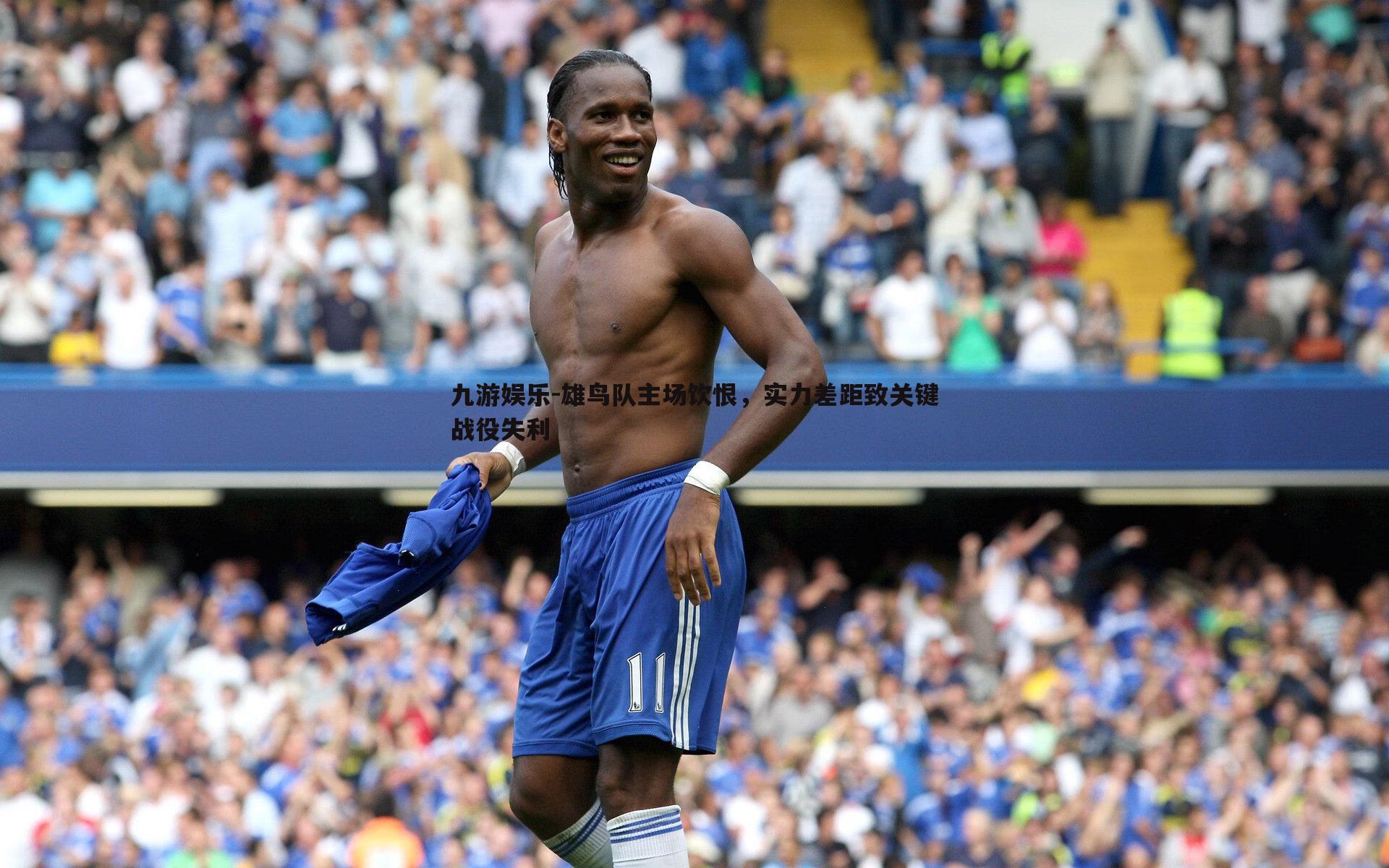 雄鸟队主场饮恨，实力差距致关键战役失利